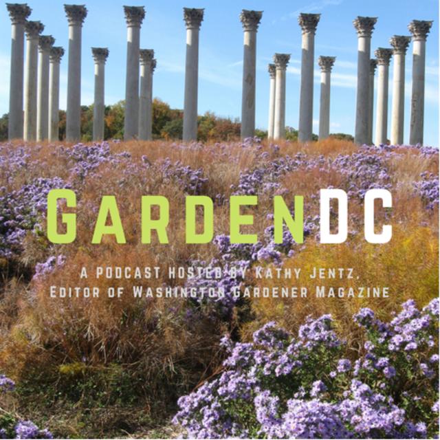 GardenDC: The Podcast about Mid-Atlantic Gardening - podcast cover