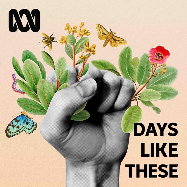 Days Like These - podcast cover