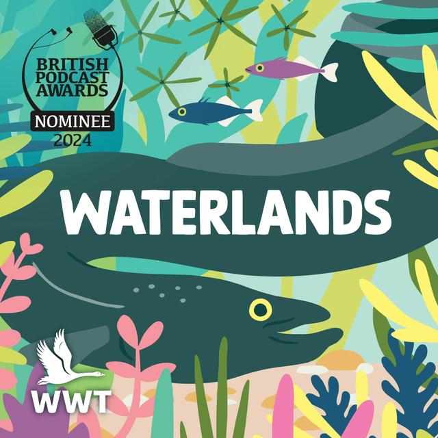 Waterlands - podcast cover