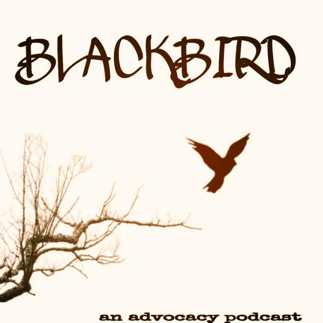 blackbird: an advocacy podcast - podcast cover