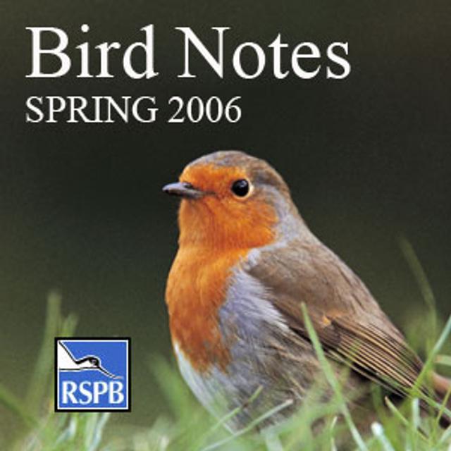 RSPB Bird Notes - podcast cover
