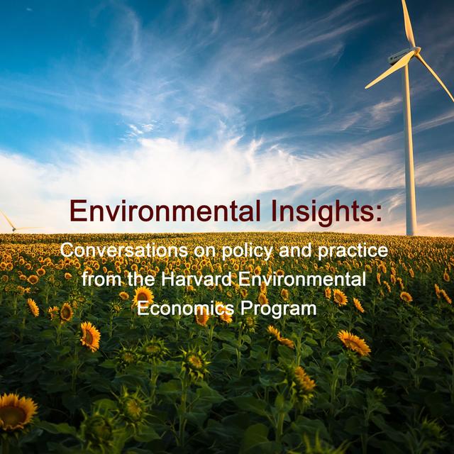 Environmental Insights: Conversations on policy and practice from the Harvard Environmental Economics Program - podcast cover