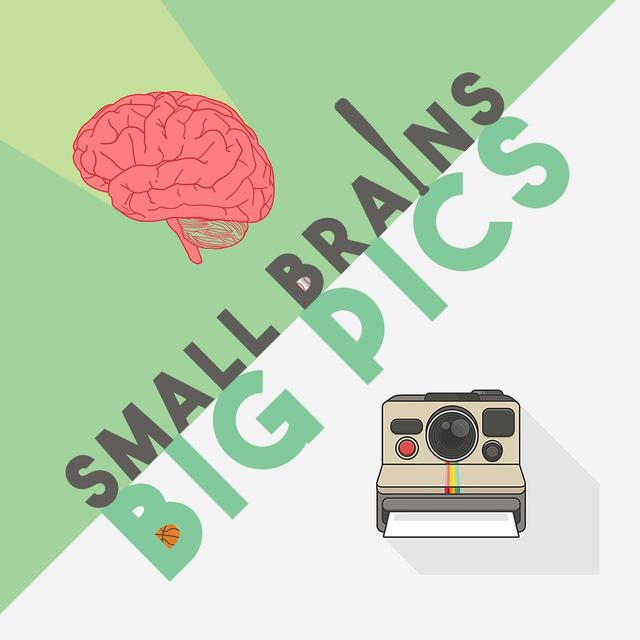 Small Brains Big Pics - podcast cover