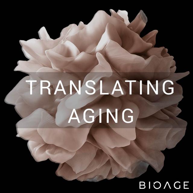 Translating Aging - podcast cover