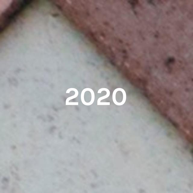 2020: The Election For BS - podcast cover
