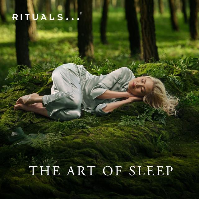 The Art of Sleep - podcast cover
