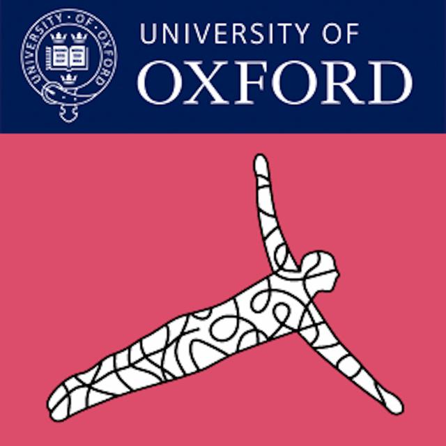 Oxford Internet Institute - Lectures and Seminars - podcast cover