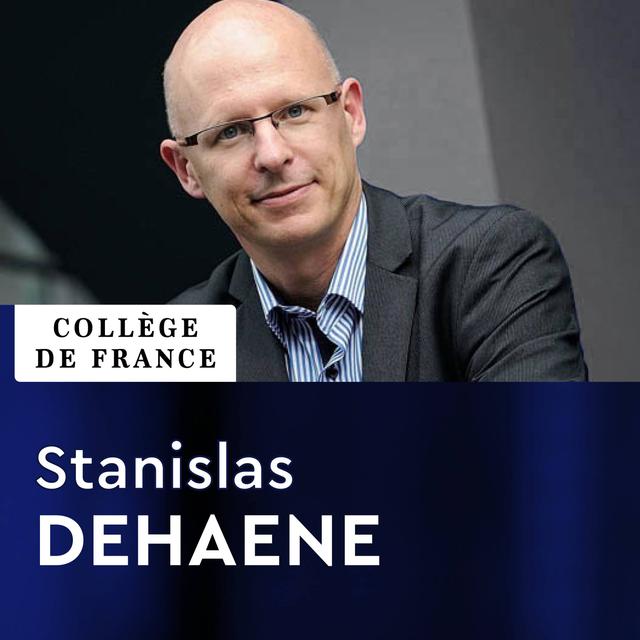Psychologie cognitive expérimentale - Stanislas Dehaene - podcast cover