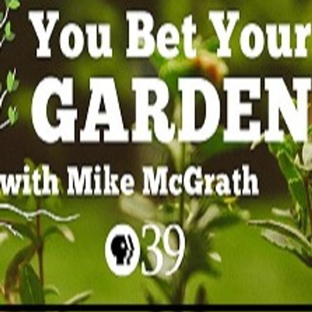 You Bet Your Garden - podcast cover