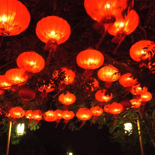 元宵佳节：看花灯全秘籍 - podcast cover