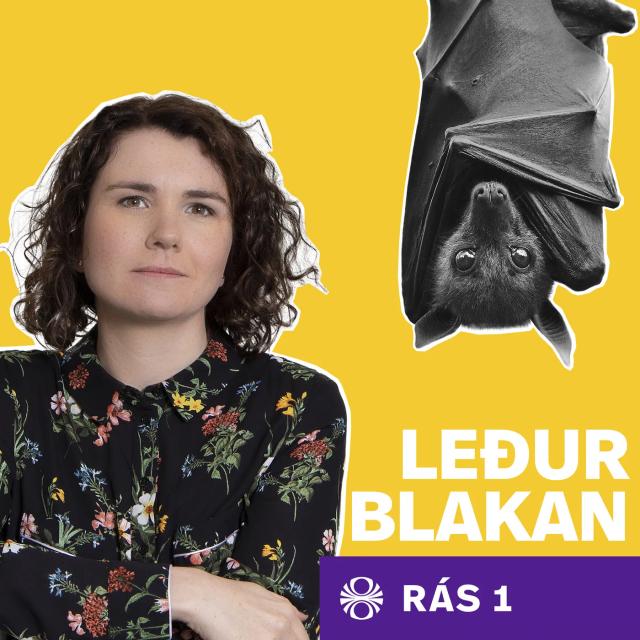 Leðurblakan - podcast cover