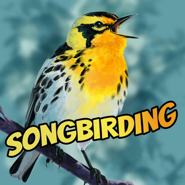Songbirding: A Birding-by-ear Podcast - podcast cover