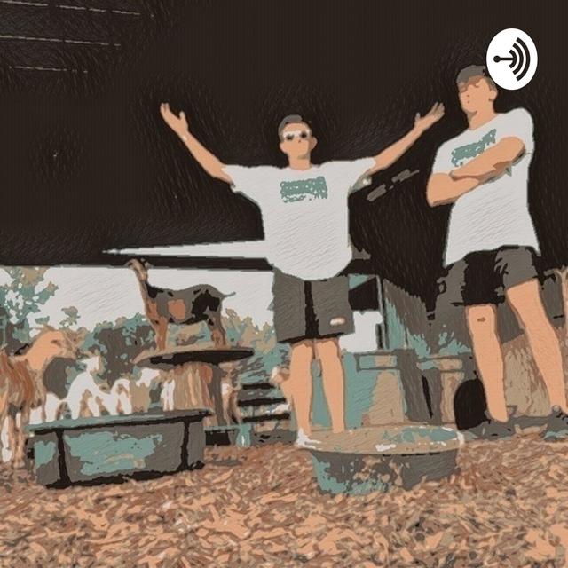 The Strictly Business Podcast - podcast cover