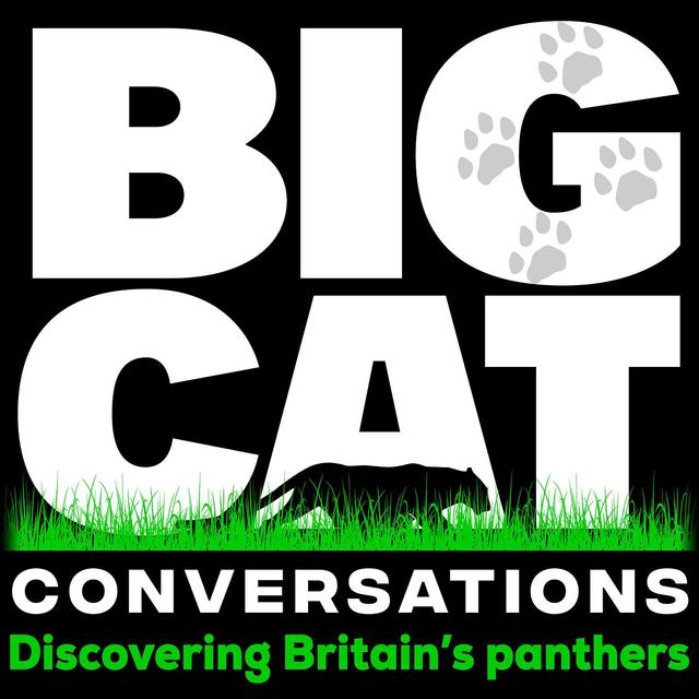 Big Cat Conversations - podcast cover
