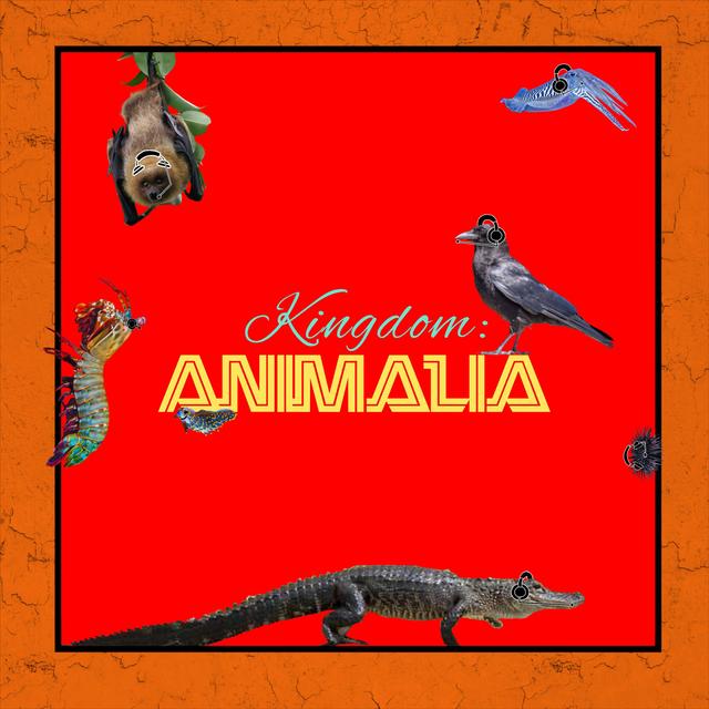 Kingdom: Animalia - A Zoology Podcast for Kids - podcast cover