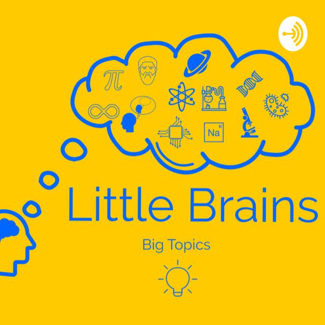 Little Brains Big Topics - podcast cover