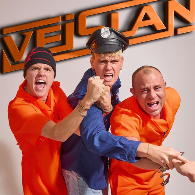 VEISLAN - podcast cover
