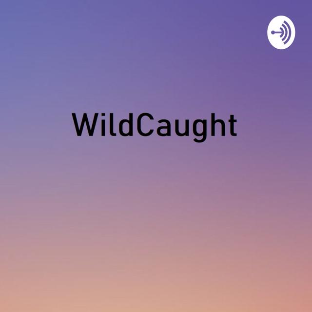 WildCaught - podcast cover