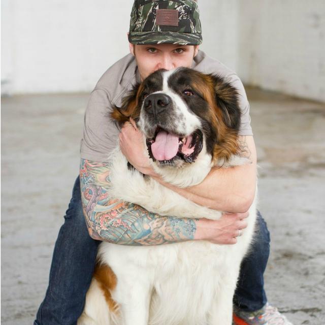 No Bad Dogs Podcast - podcast cover