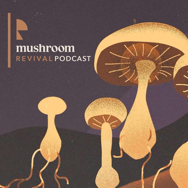 Mushroom Revival Podcast - podcast cover