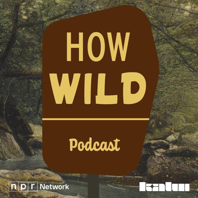 How Wild - podcast cover