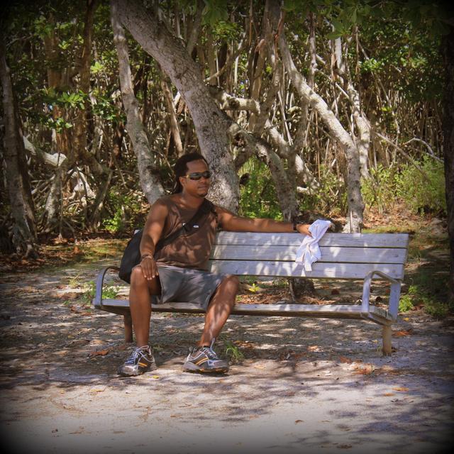 Y-Dread's Reggae Podcast - podcast cover