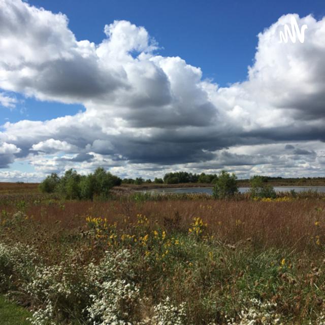 Ecospot: Native Plants & Environmental Stewardship - podcast cover