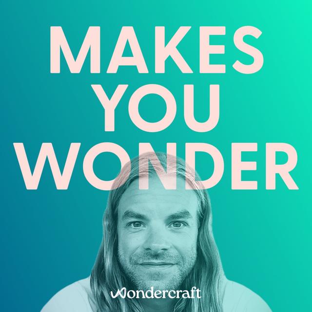 Makes You Wonder - podcast cover