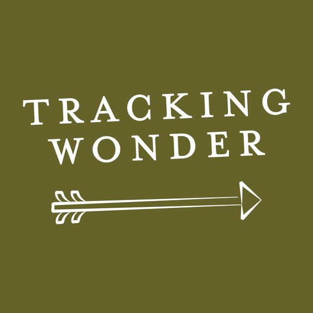 Tracking Wonder Podcast - podcast cover