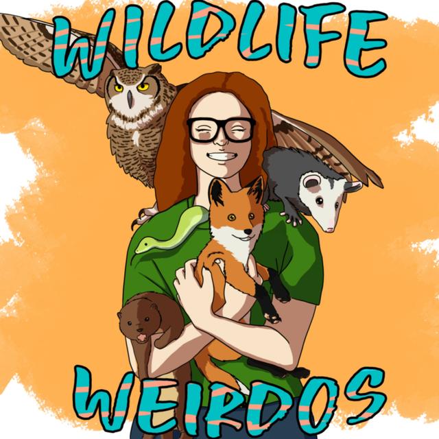 Wildlife Weirdos - podcast cover