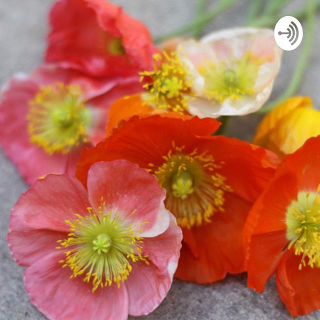 The Kokoro Garden Podcast - podcast cover