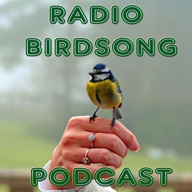 The Radio Birdsong Podcast - podcast cover