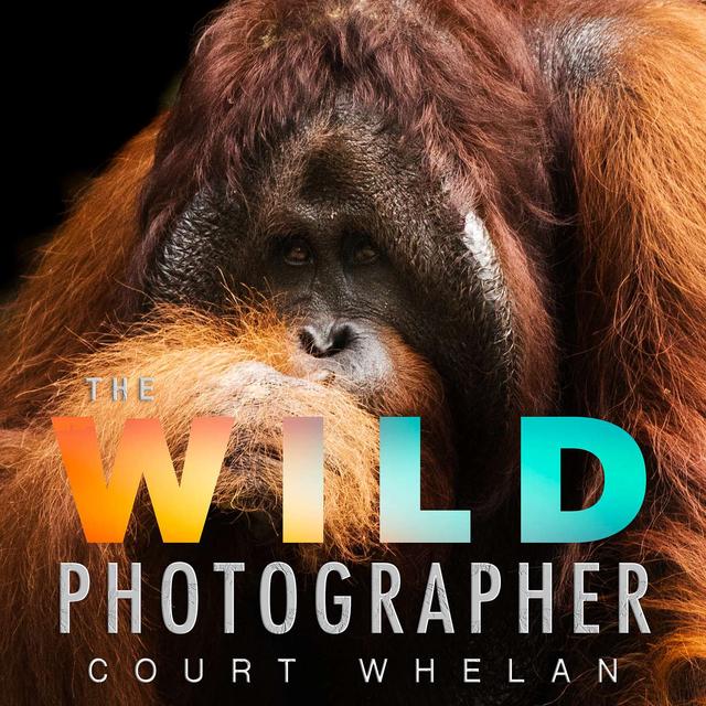 The Wild Photographer - podcast cover
