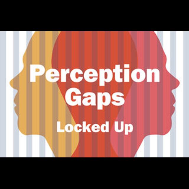 Perception Gaps - podcast cover