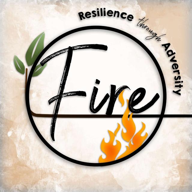 The FIRE Podcast - podcast cover