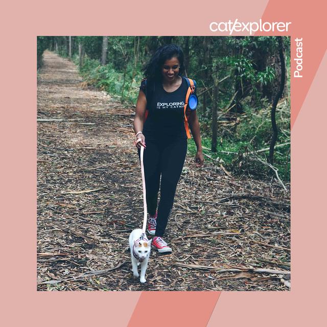 Catexplorer Podcast - podcast cover