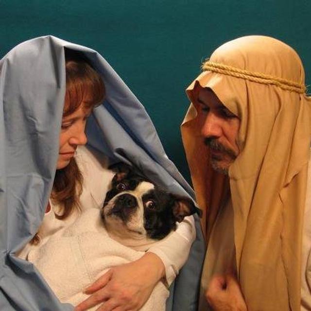 Stupid Church People - podcast cover