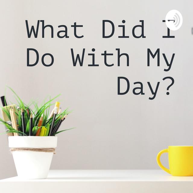 What Did I Do With My Day? - podcast cover