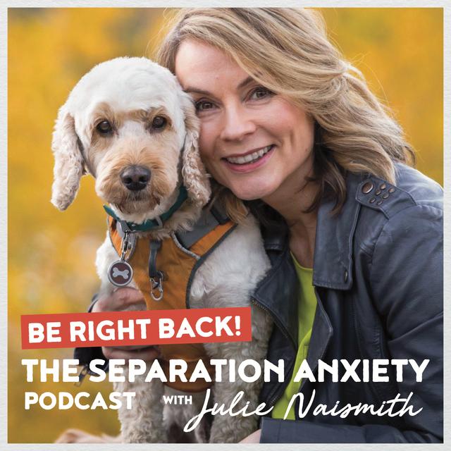 Be Right Back! The Separation Anxiety Podcast - podcast cover