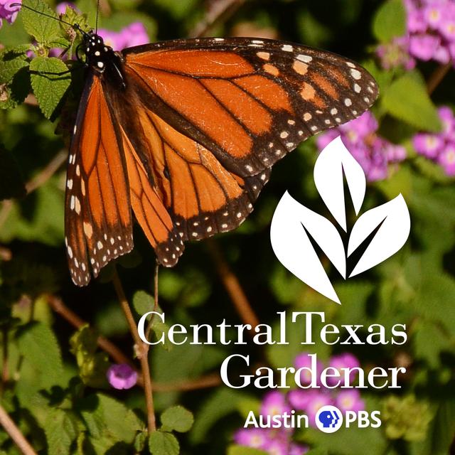 Central Texas Gardener - podcast cover