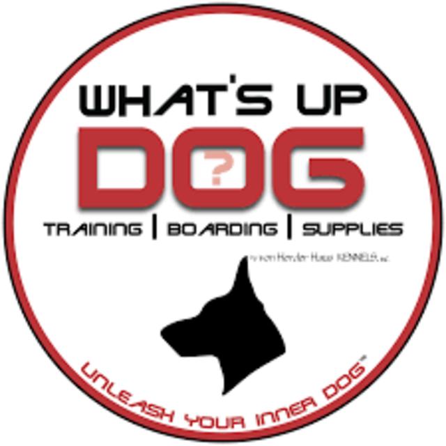 What's Up Dog? | Unleash Your Inner Dog - podcast cover
