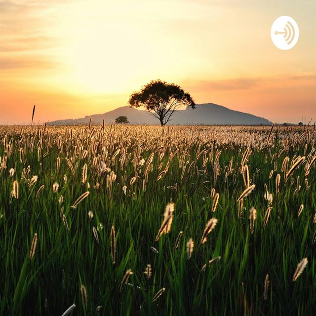 NO FILTER - podcast cover