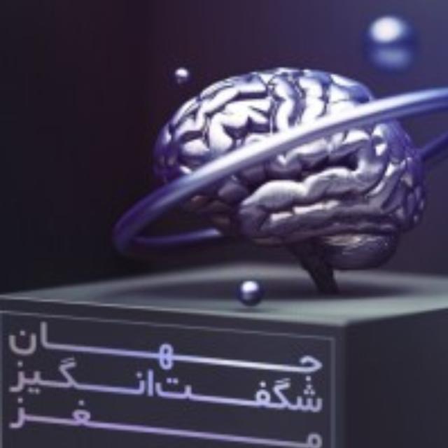 جهان شگفت انگیز مغز - podcast cover