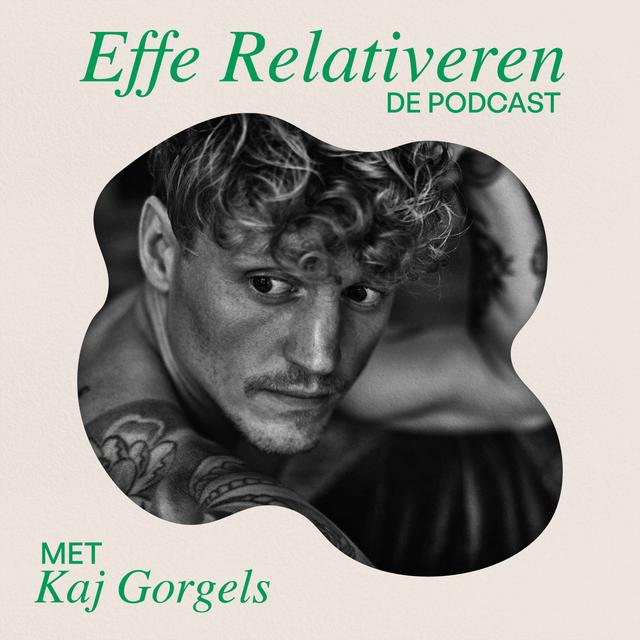 EFFE RELATIVEREN de podcast - podcast cover