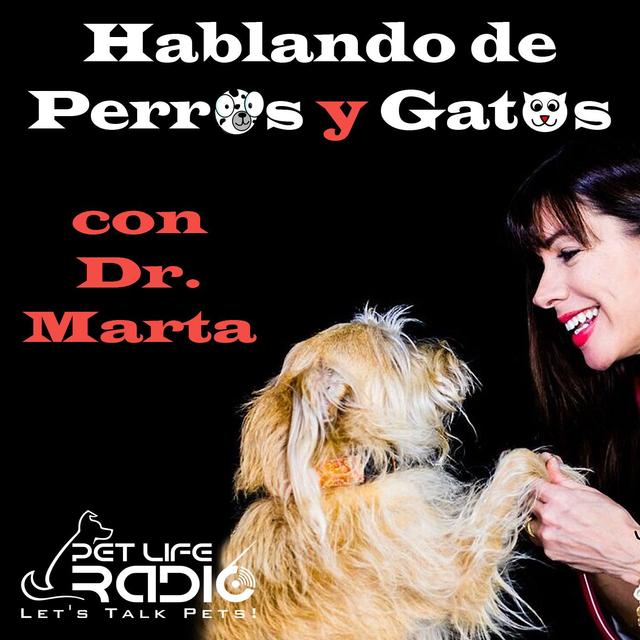Hablando de Perros y Gatos con Dr. Marta- Pet Life Radio Original - podcast cover
