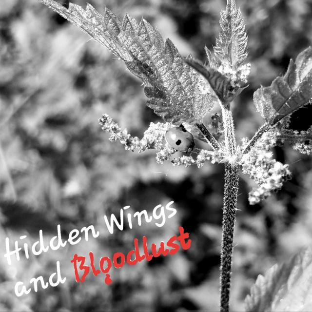 Hidden Wings and Bloodlust - podcast cover