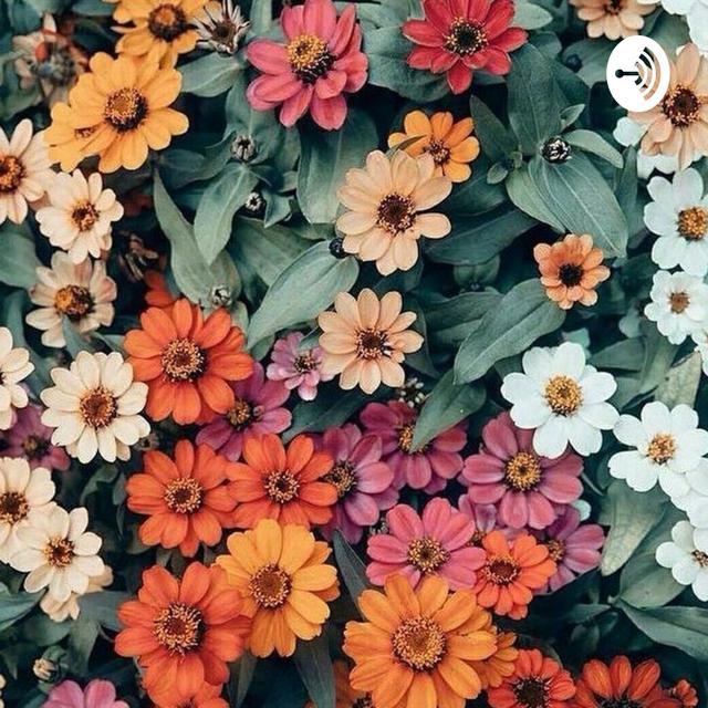 گلستان سعدی - podcast cover