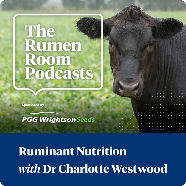 The Rumen Room Podcasts - podcast cover