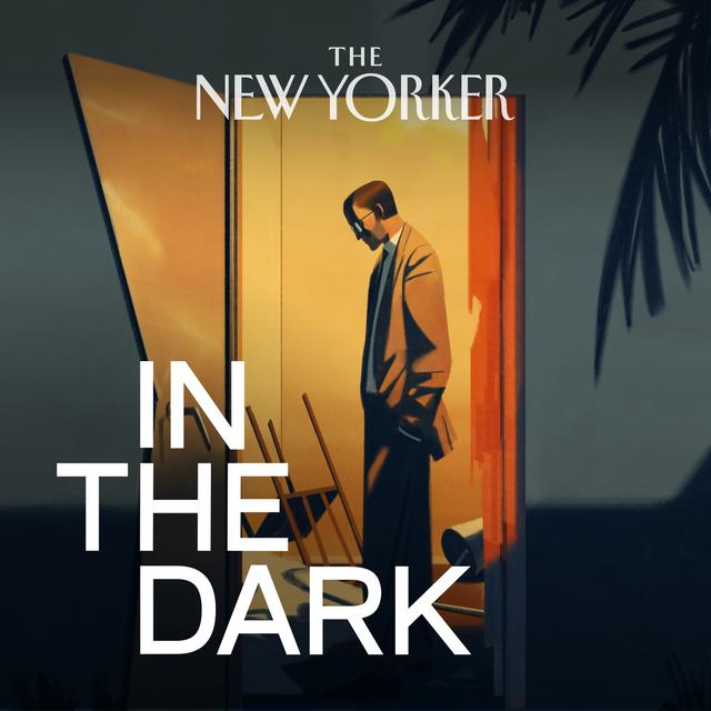 In The Dark - podcast cover