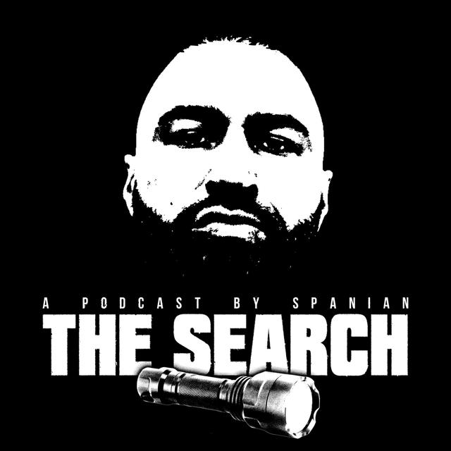 The Search - podcast cover